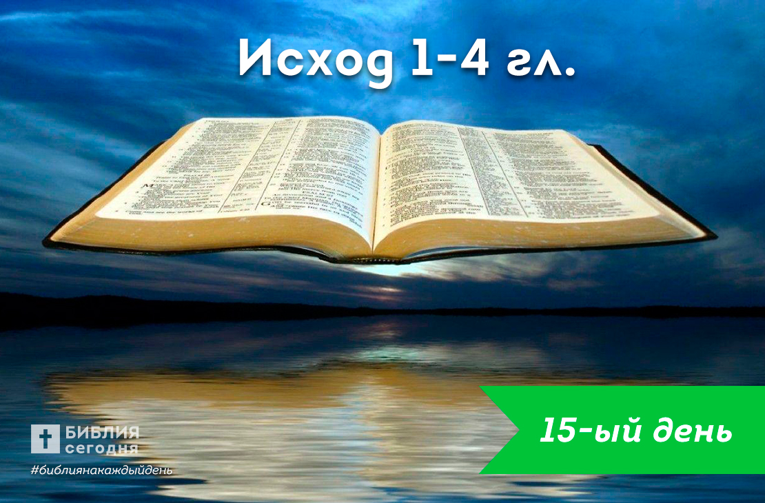 Исход 1-4 гл.